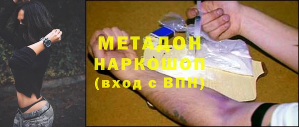 прущие грибы Балахна