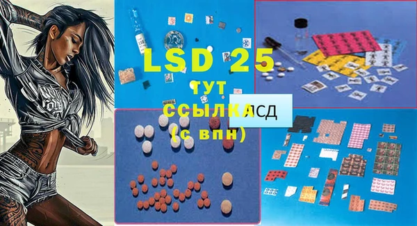 прущие грибы Балахна
