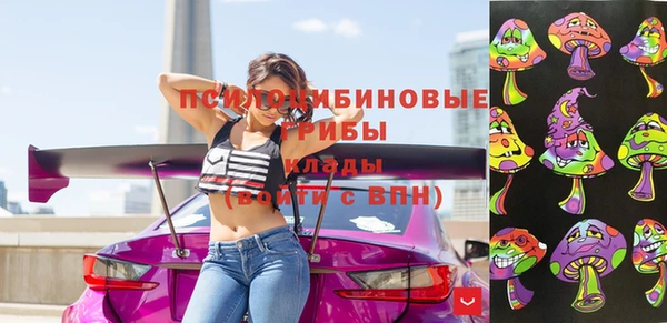 прущие грибы Балахна