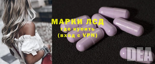 прущие грибы Балахна
