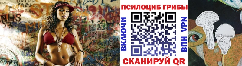 Галлюциногенные грибы MAGIC MUSHROOMS  нарко площадка Telegram  Чулым 